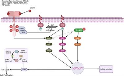 Small-molecule inhibitors of kinases in breast cancer therapy: recent advances, opportunities, and challenges